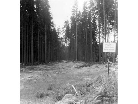 Foto 19